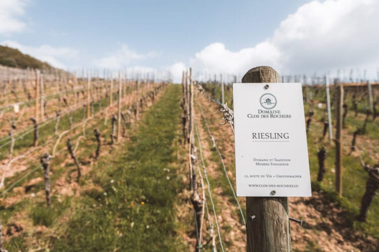 Luxemburg Riesling Moezel