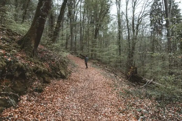 Mullerthal Trail 