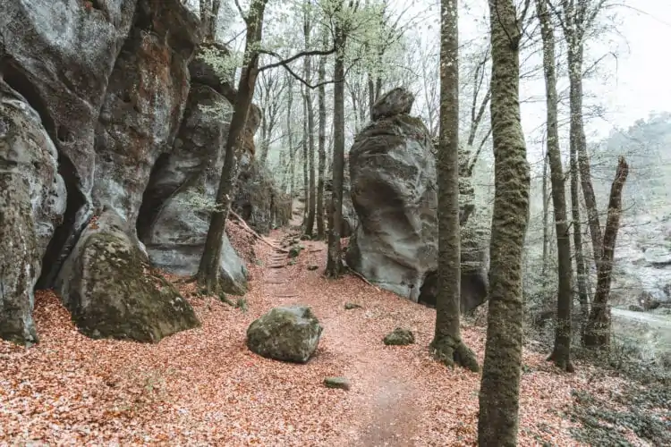 Mullerthal Trail 