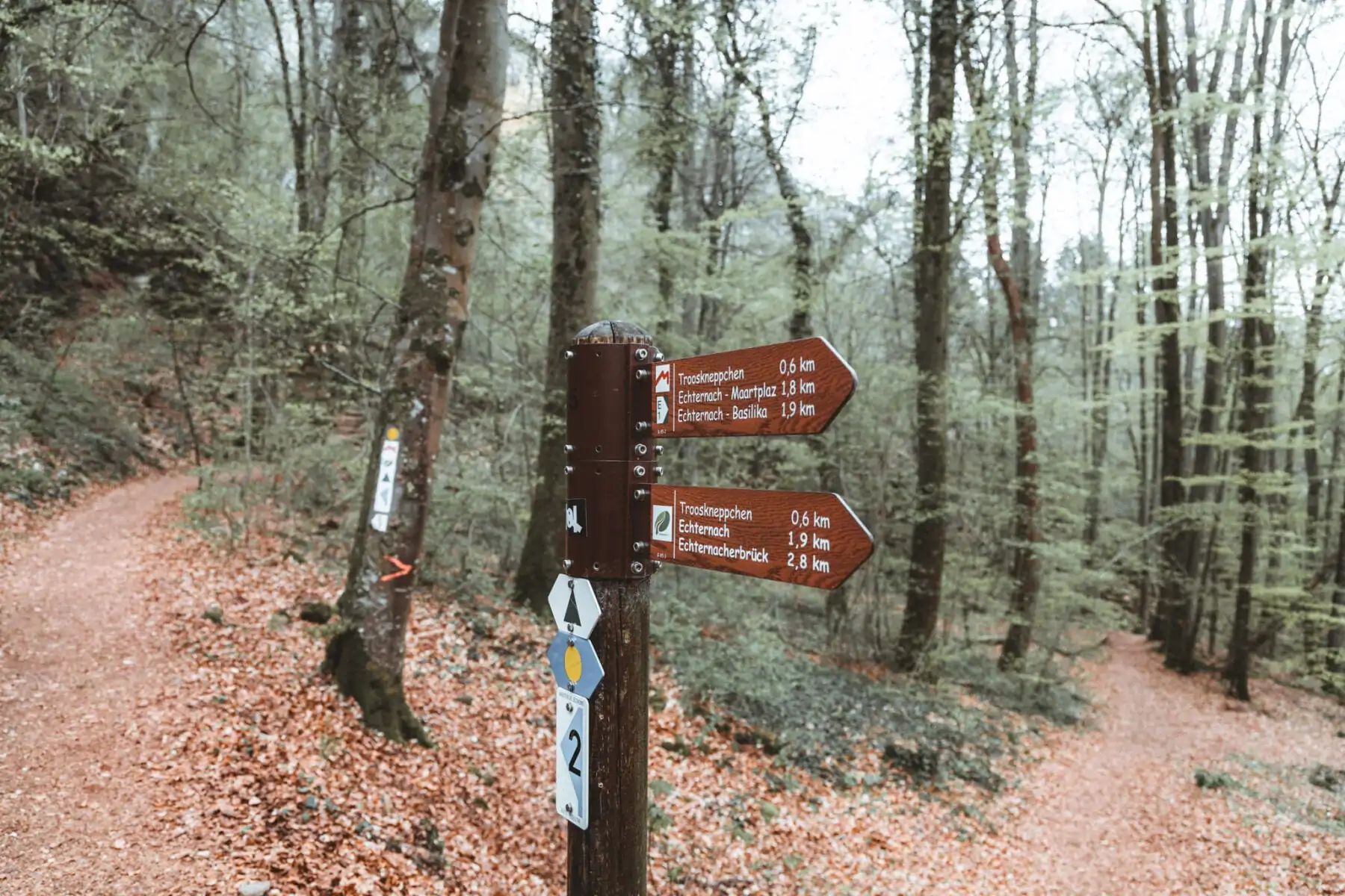 Mullerthal Trail bordjes waar vaak ook een camping staat aangegeven