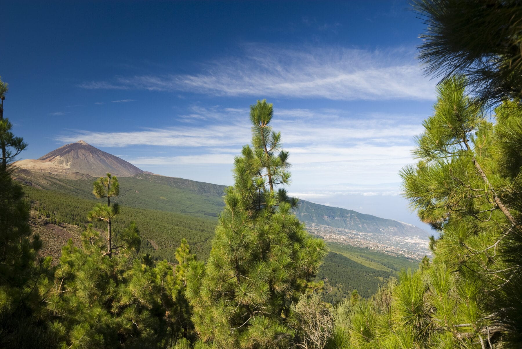 vulkaan Tenerife