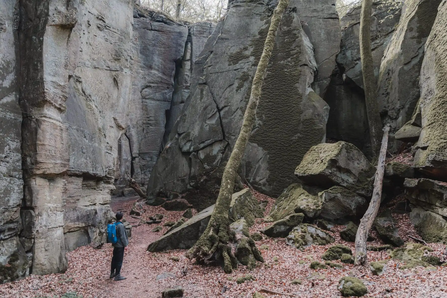 Mullerthal Trail lopen is een fantastische ervaring