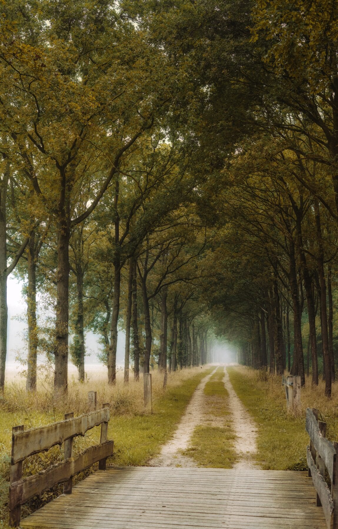 Wandelen Lochemse Berg