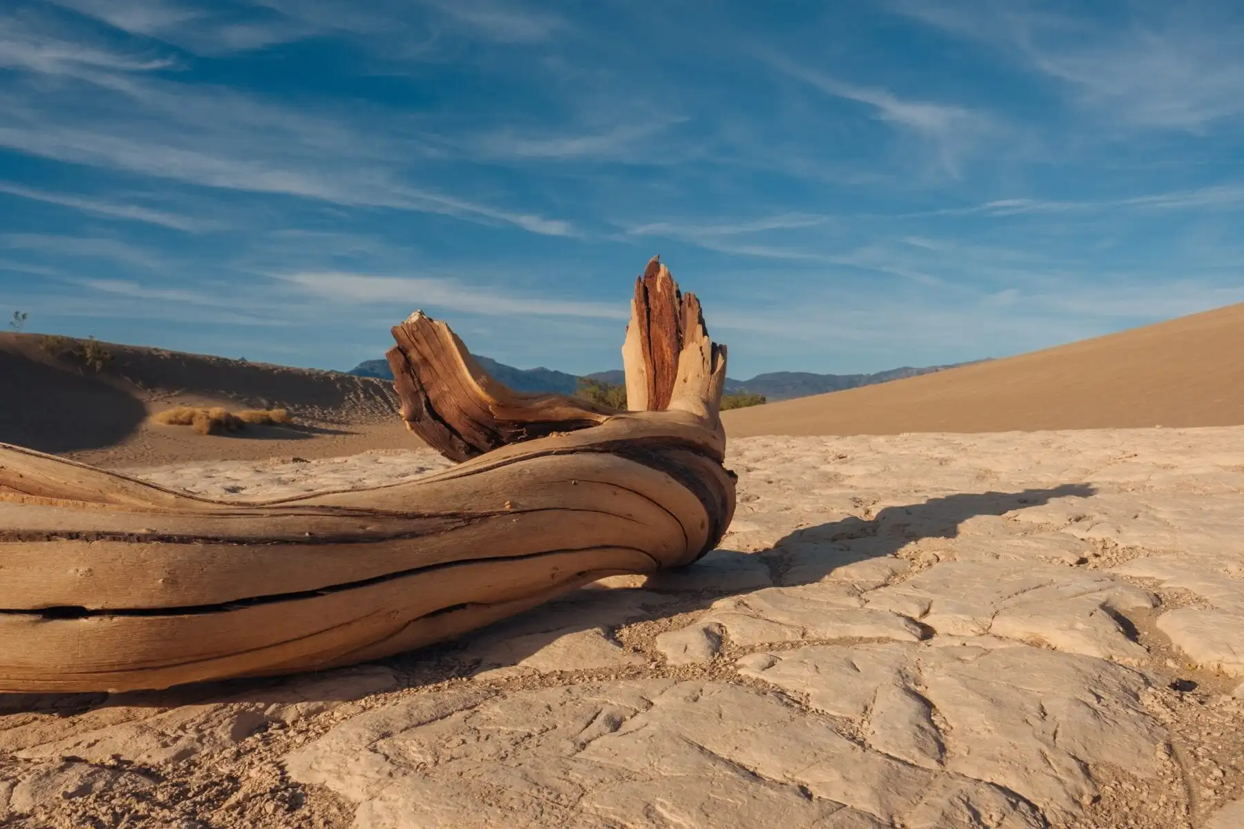 Death Valley, kruipende stenen