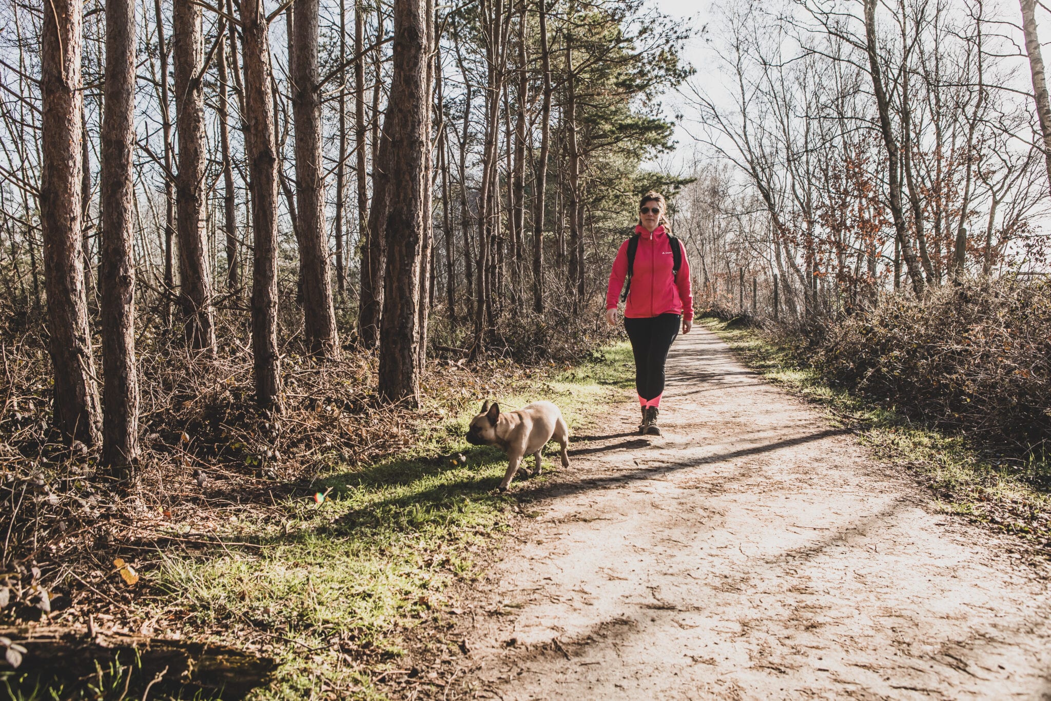 wandelgidsen Nederland