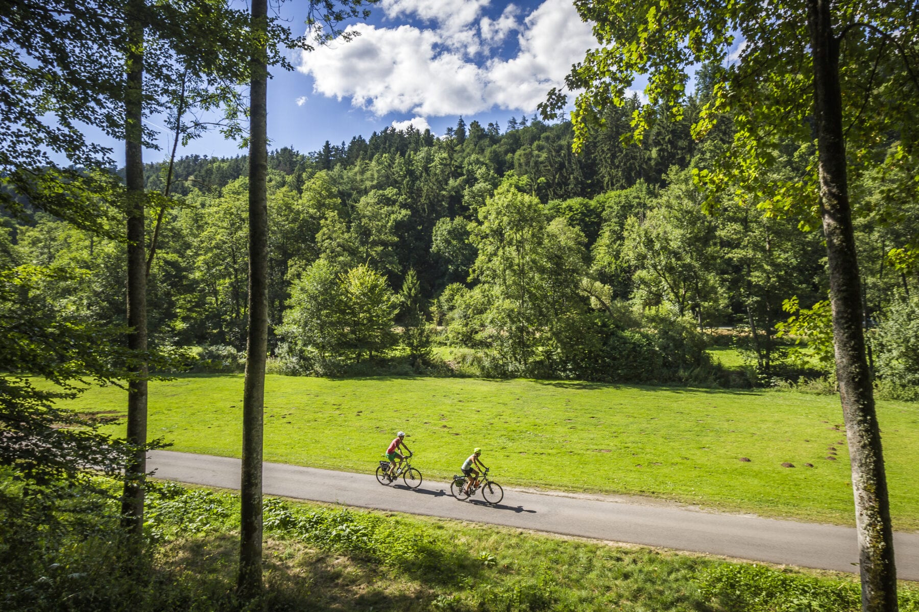 Fietsen Zwarte Woud tourfiets