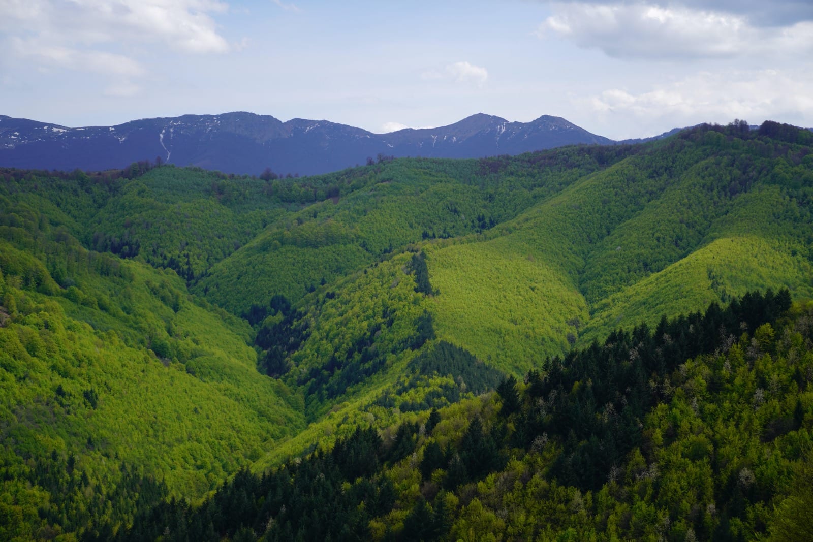 Balkan Trail