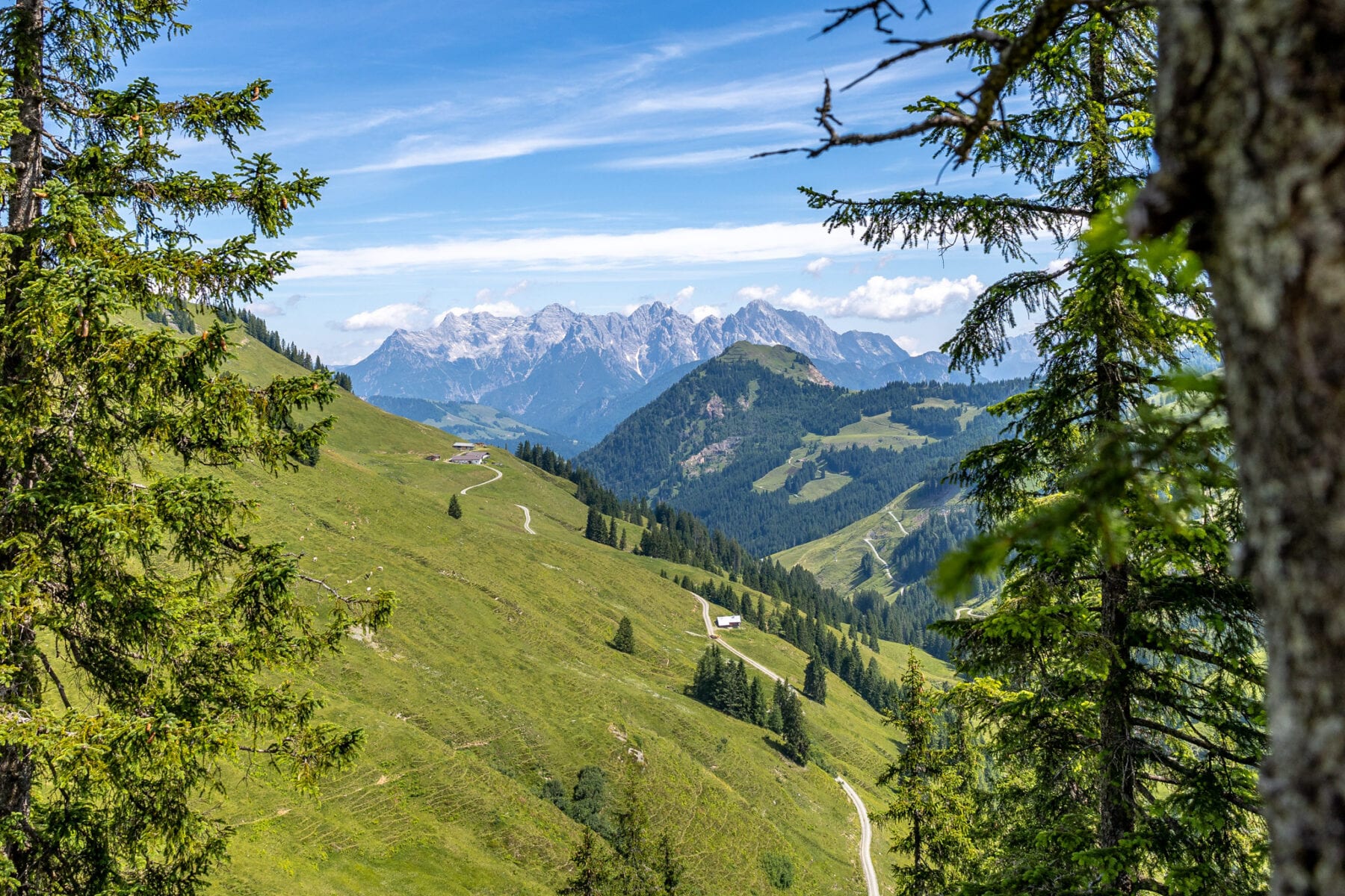 11 huts tour wandelen in Saalbach