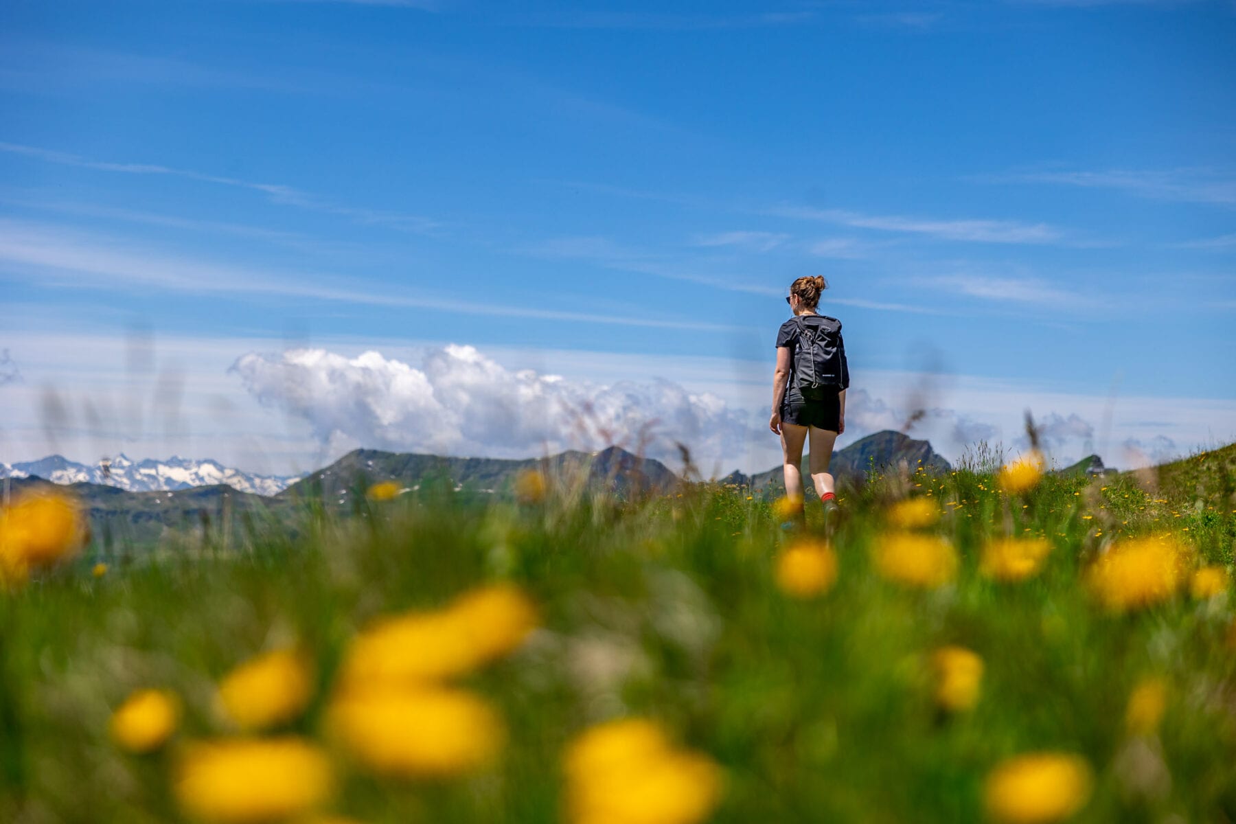 Wandelen in Saalbach Hochalmspitze