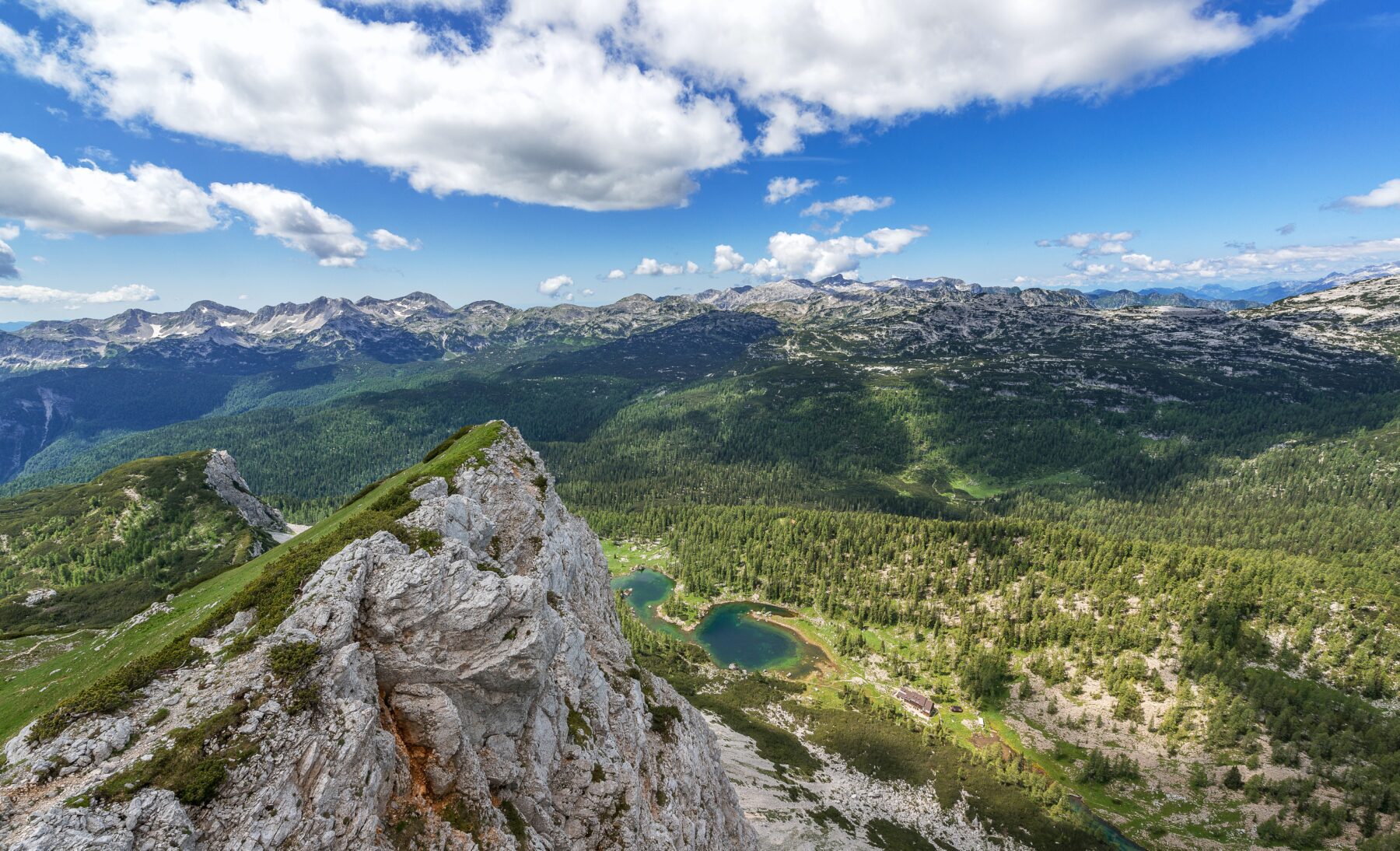 Uitzicht bos Slovenië