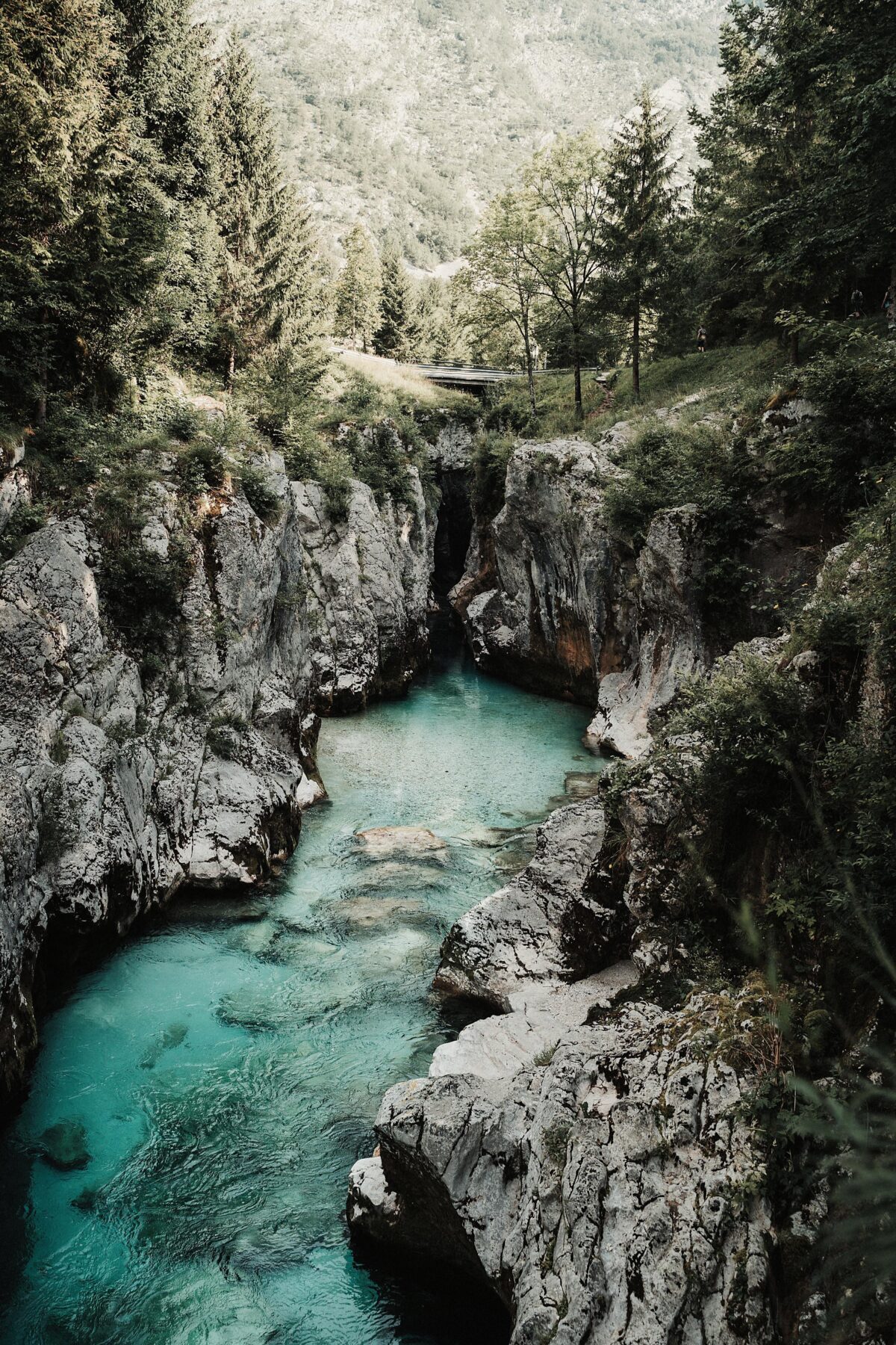 Slovenië natuurpark
