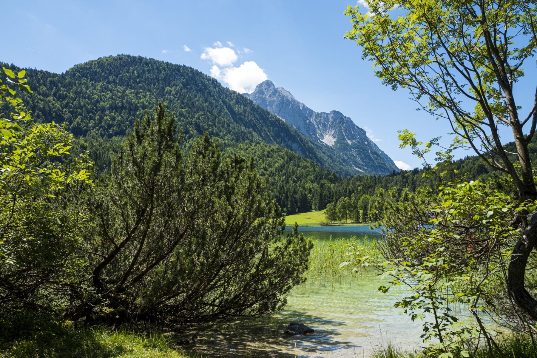 Mittenwald