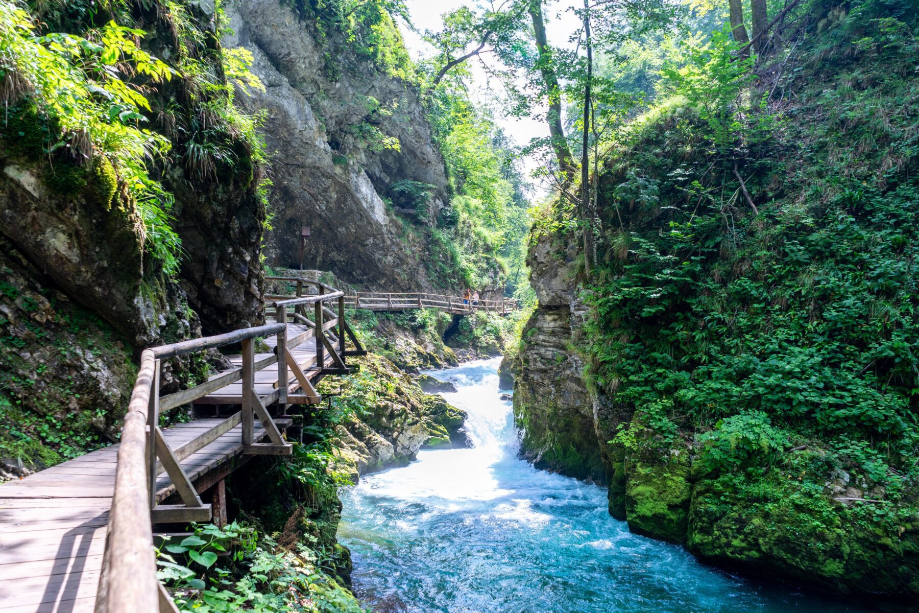 Natuur Slovenië