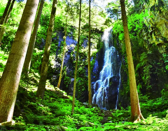 Watervallen Zwarte Woud Burgbachwasserfall