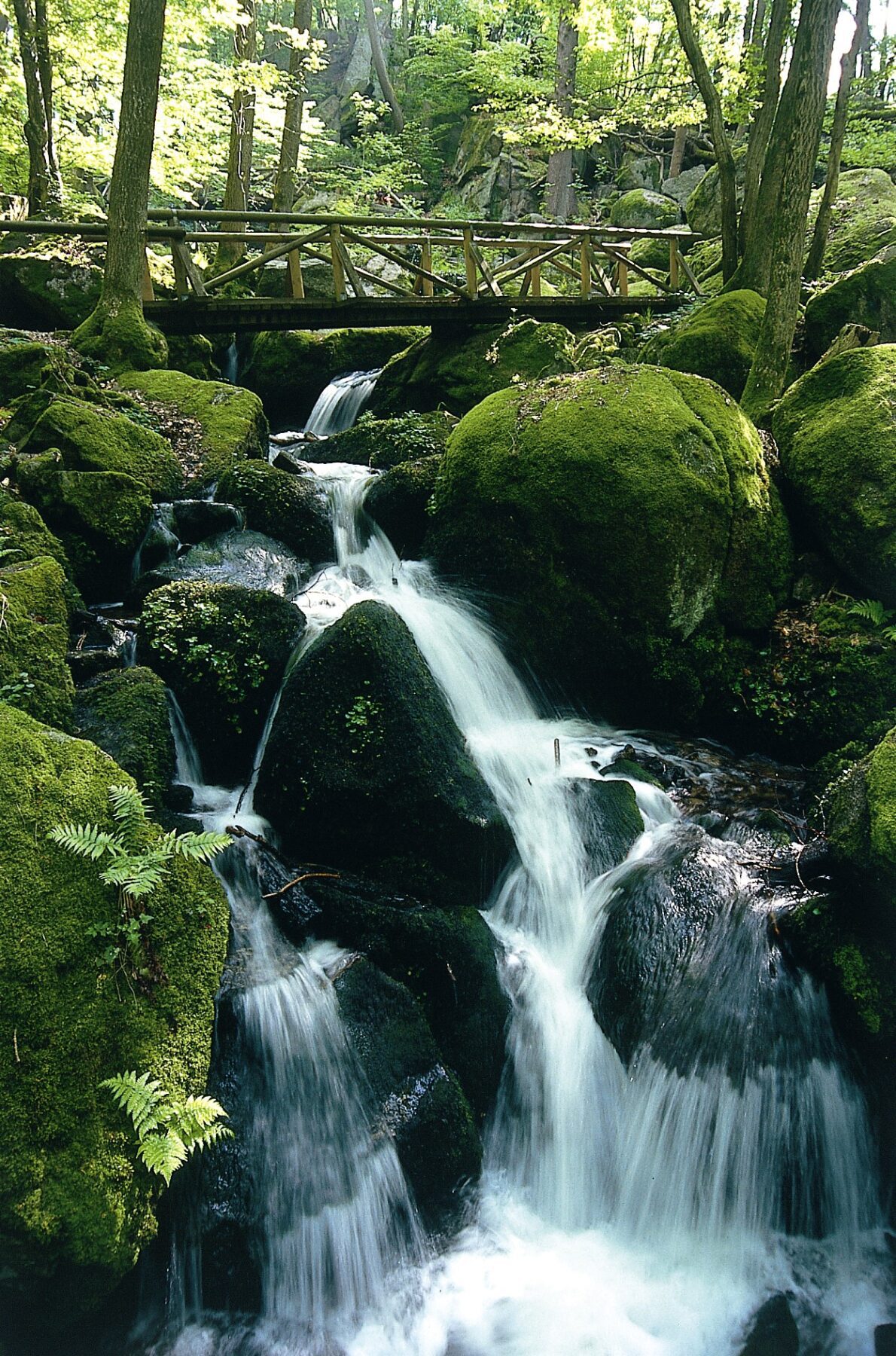 Watervallen Zwarte Woud Gaishöllwasserfälle