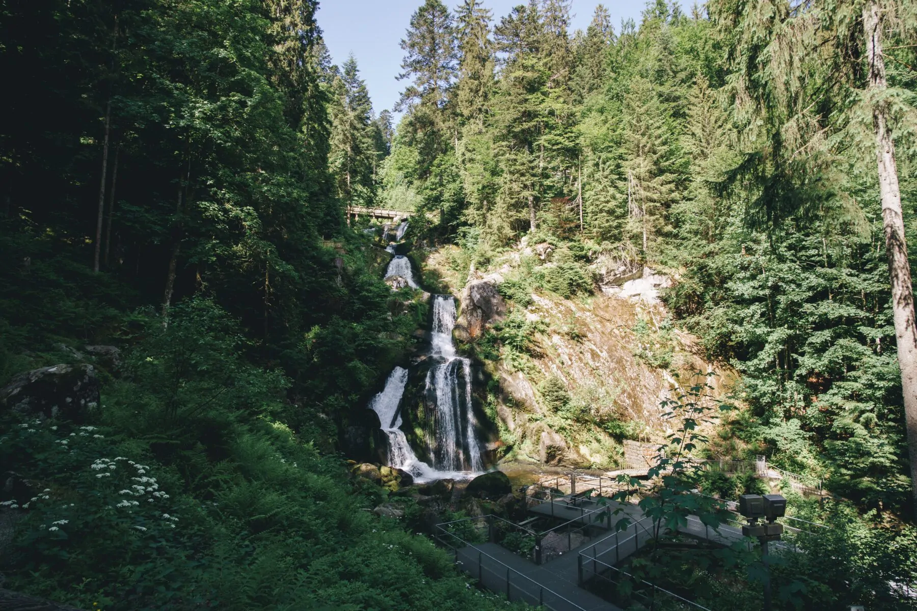 Watervallen Zwarte Woud Triberger Wasserfälle