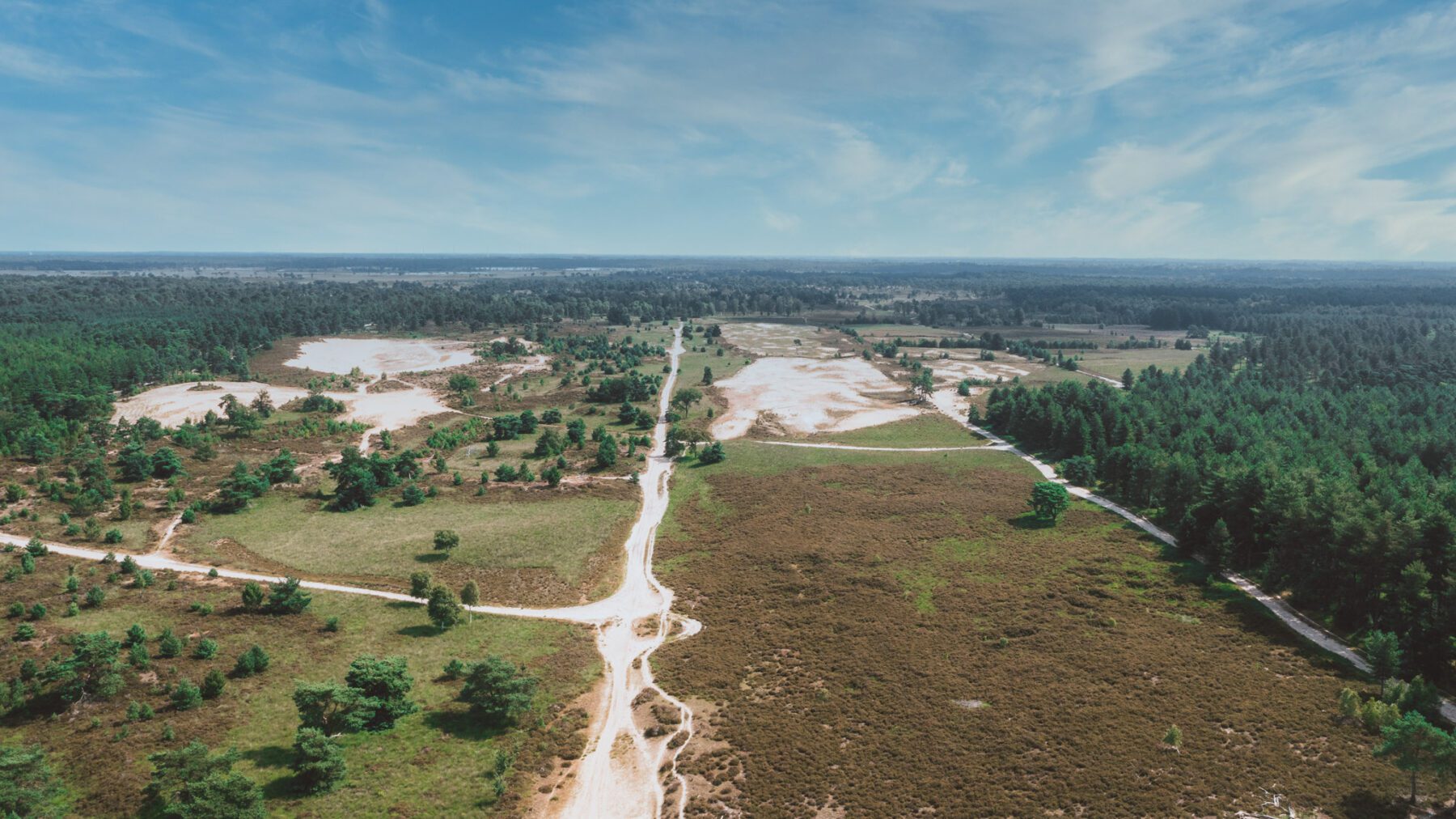 Kalmthoutse Heide drone