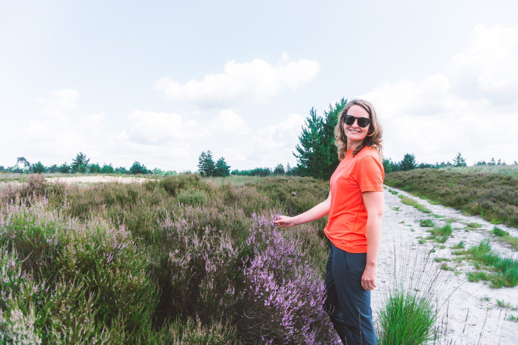 Wandelen in Brabant, op de Kalmthoutse Heide