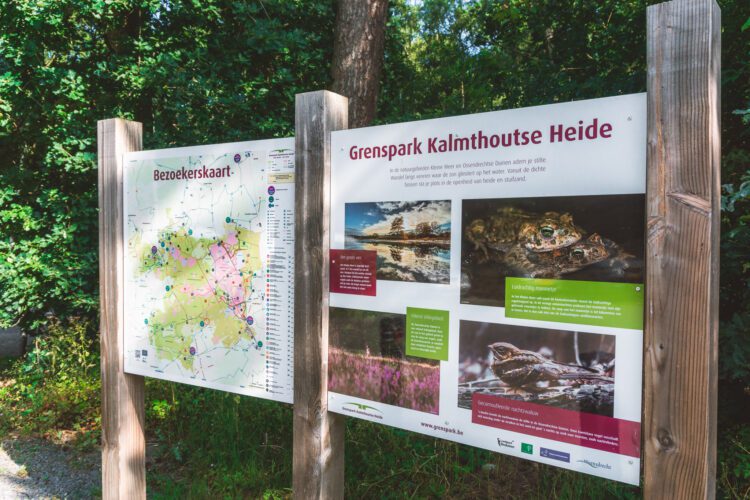 Kalmthoutse Heide bord