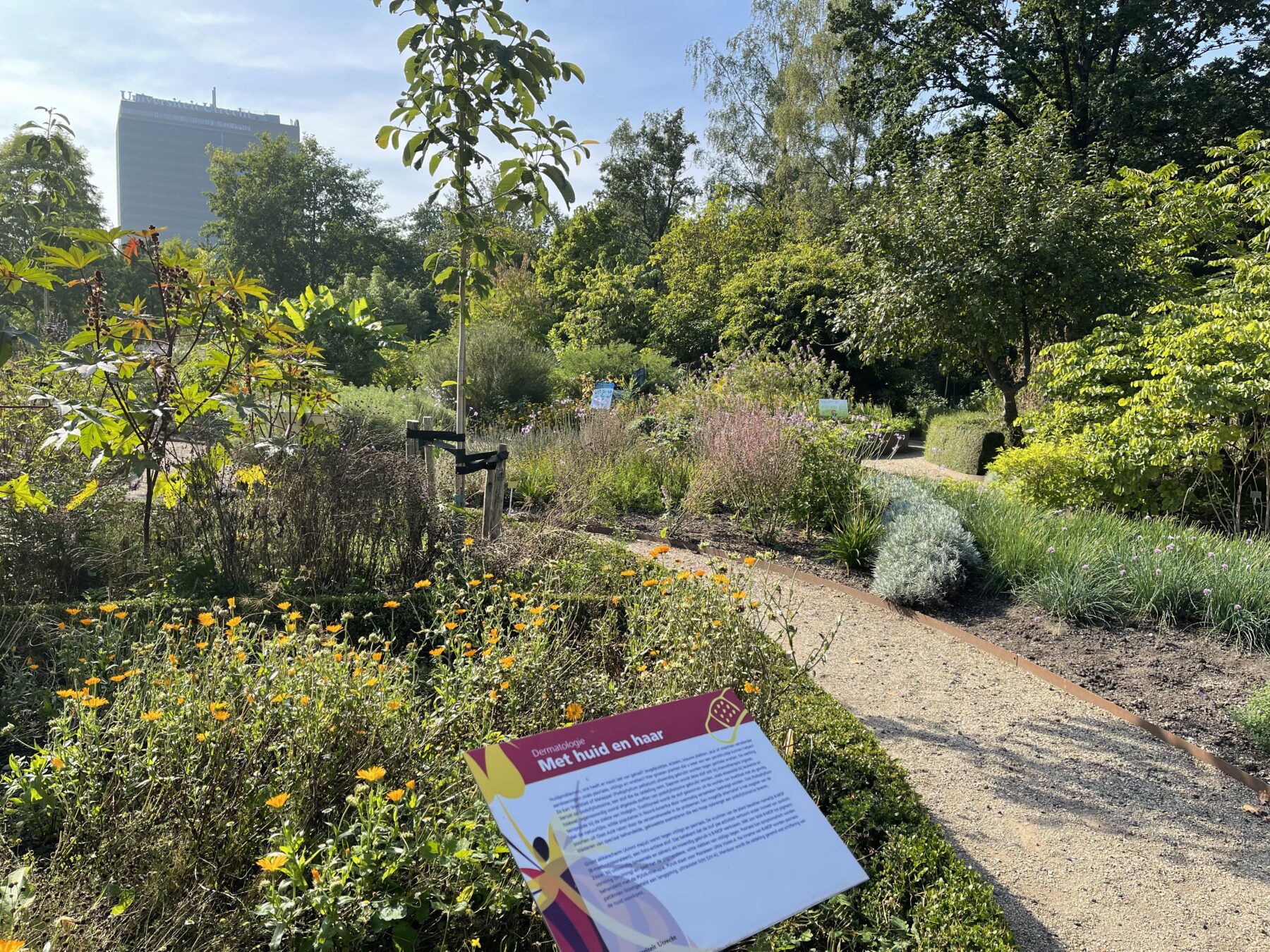 botanische tuinen utrecht