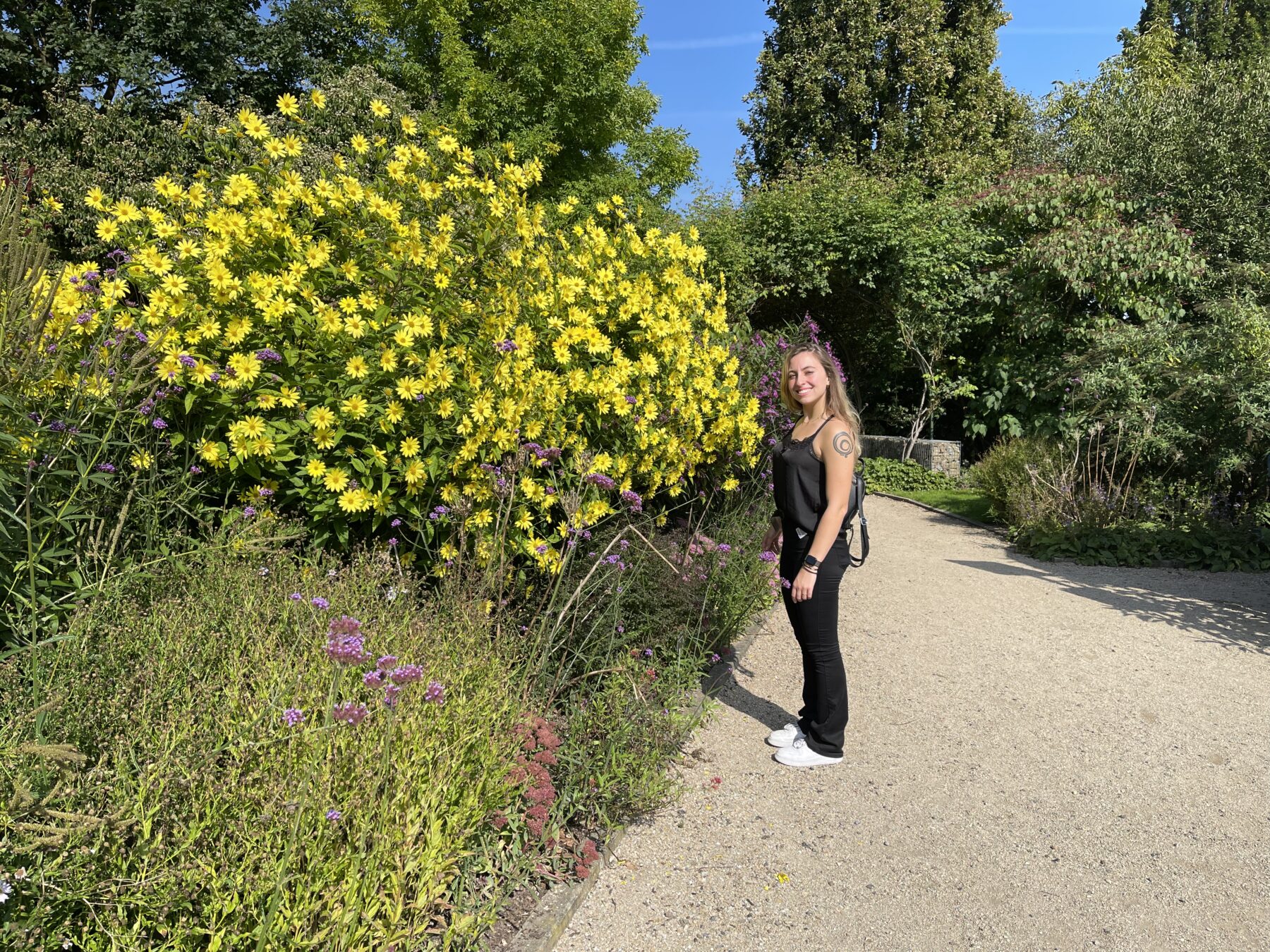 botanische tuinen utrecht