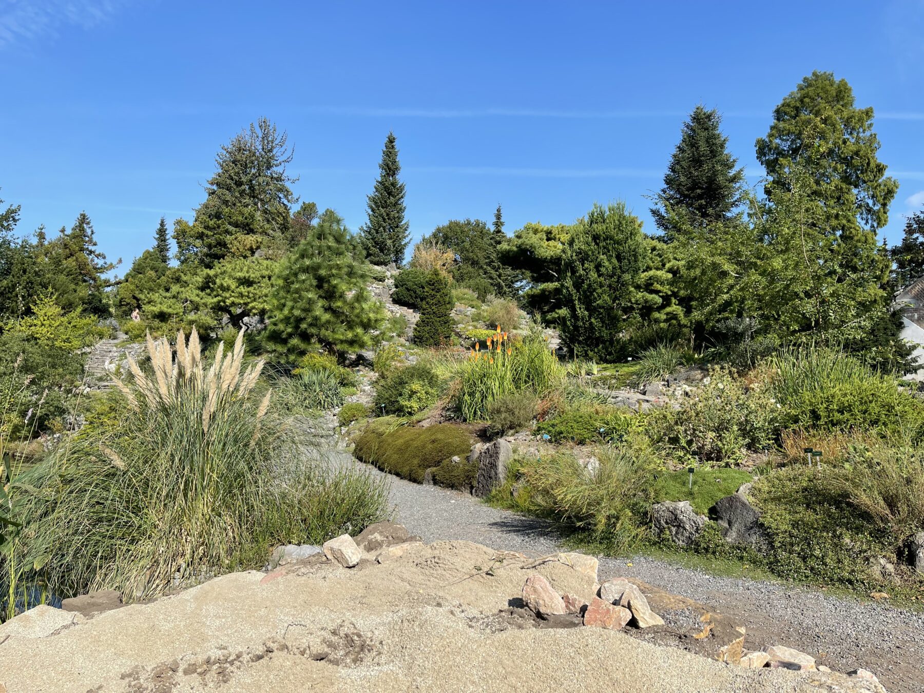 botanische tuinen utrecht