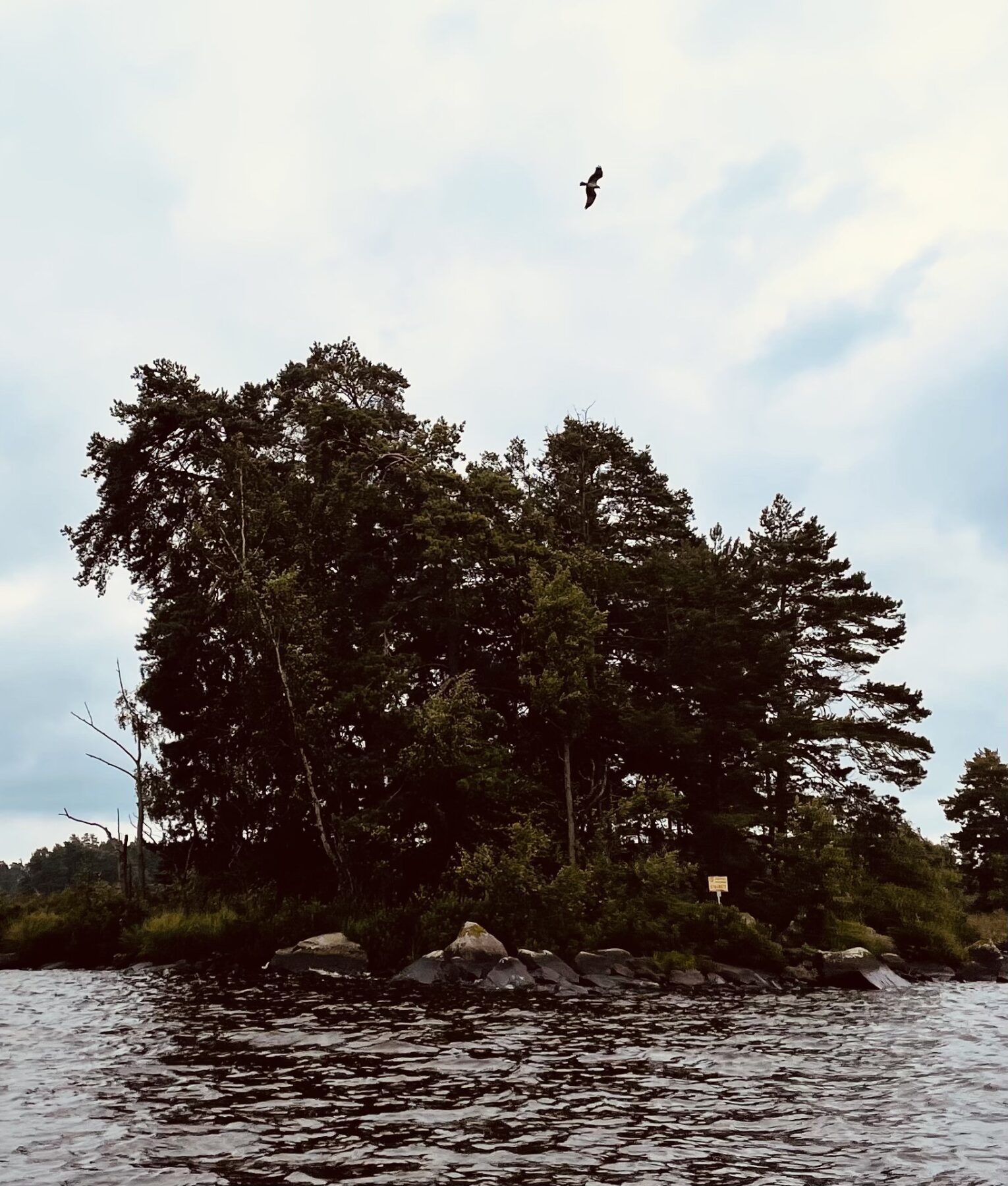 Åsnen National Park