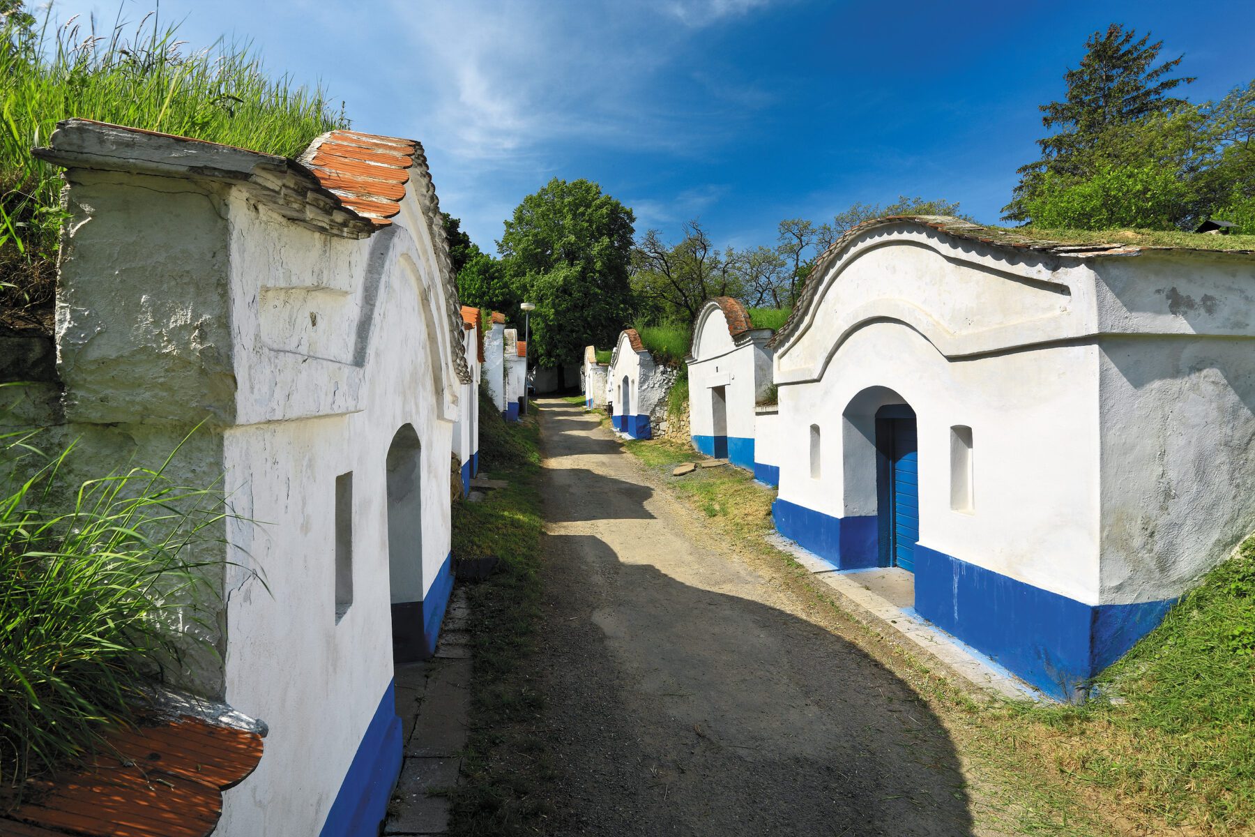 nazomeren in Tsjechië wijnkelders