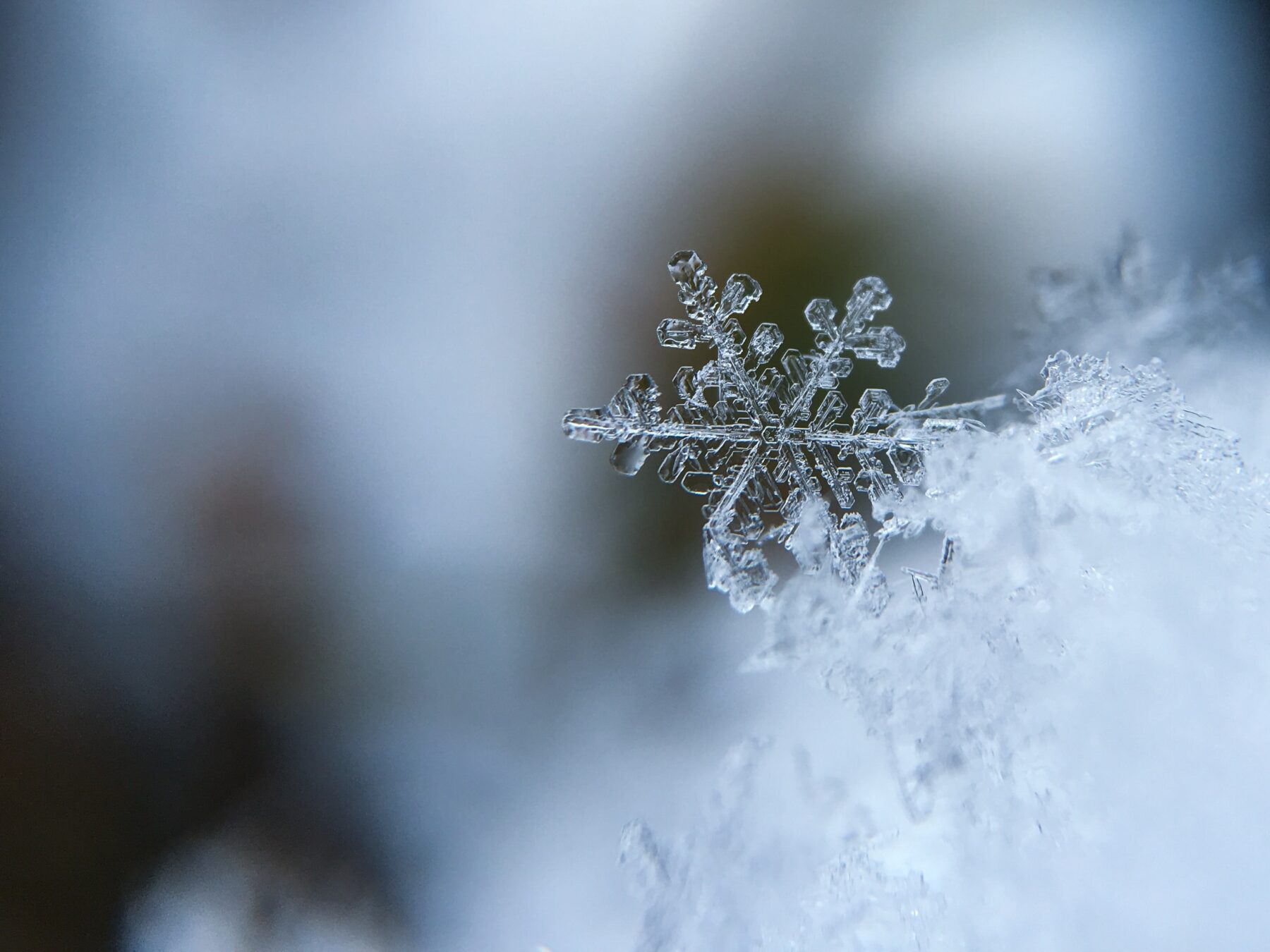 sneeuwvlokje