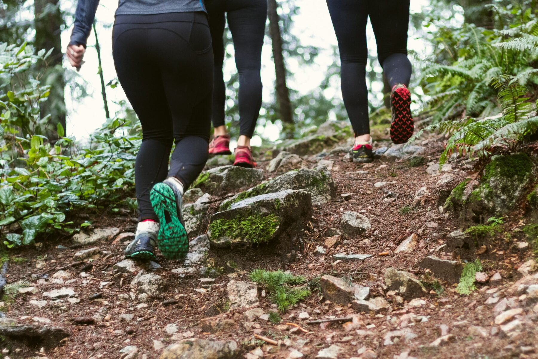 hardlopen bos