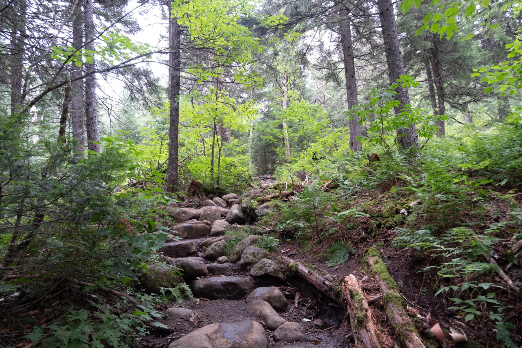 trailrunnen rotsen