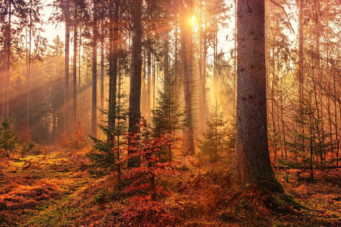Wanneer begint de herfst officieel? The Hike Wanneer begint de herfst officieel? The Hike