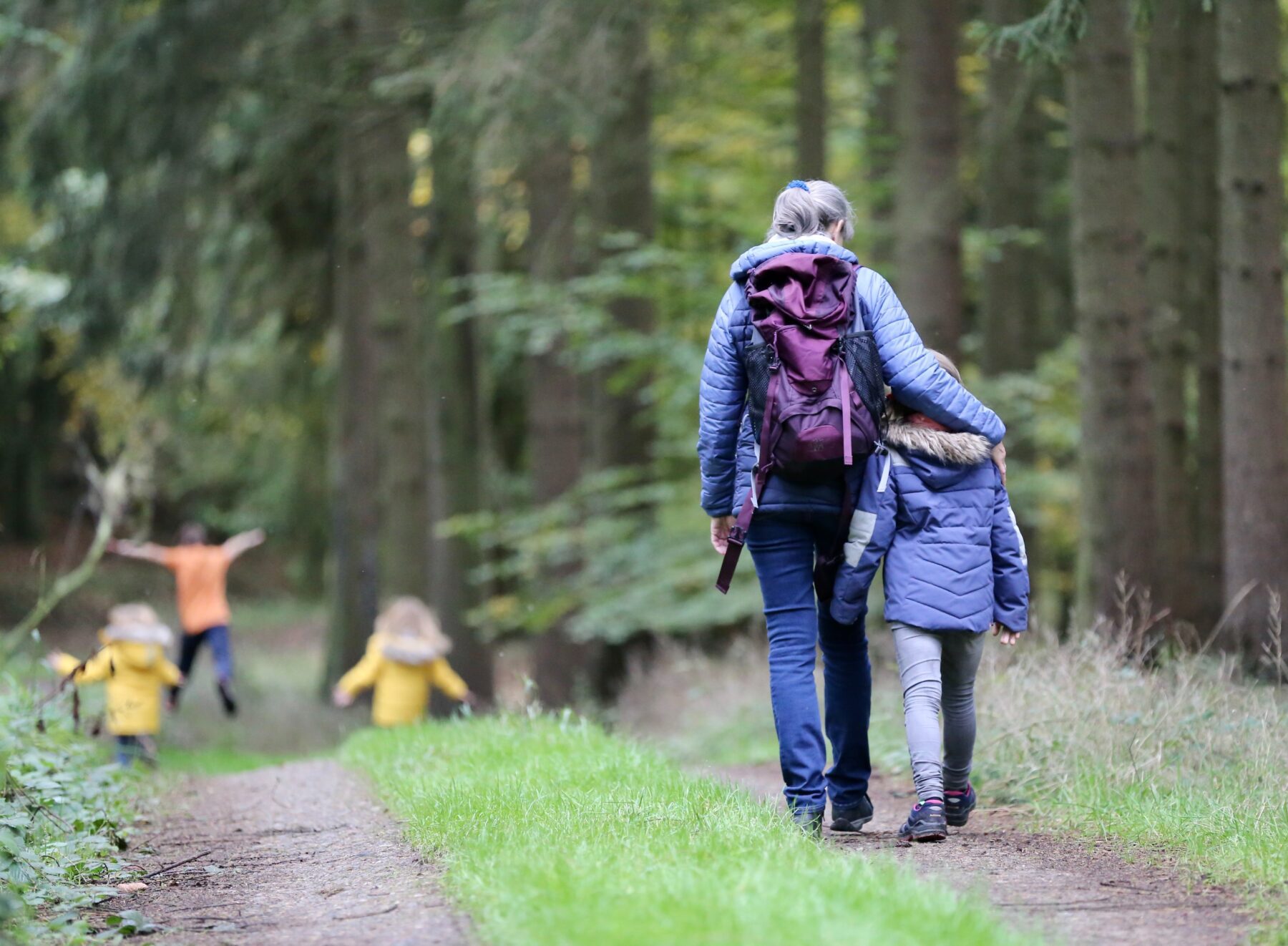 bos wandelen