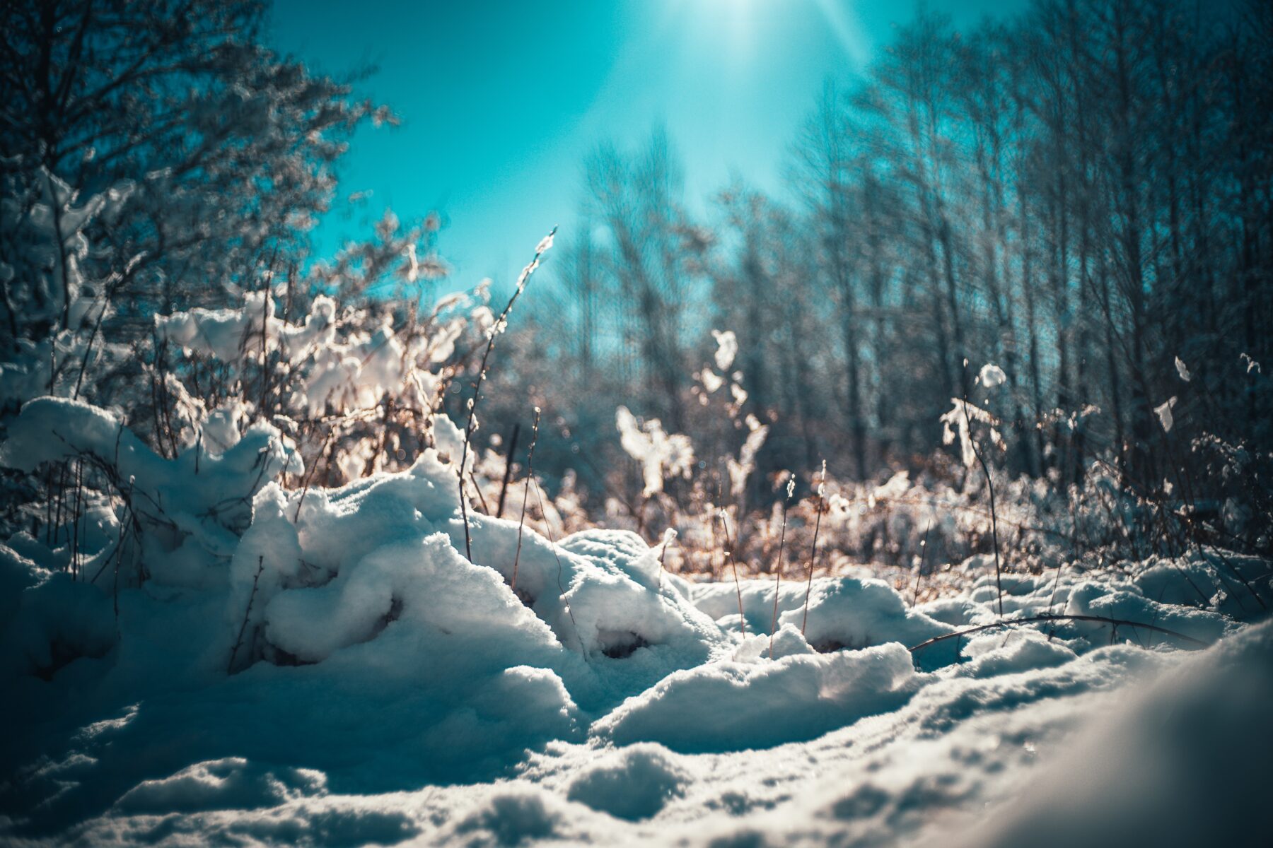 weetjes sneeuw smelten