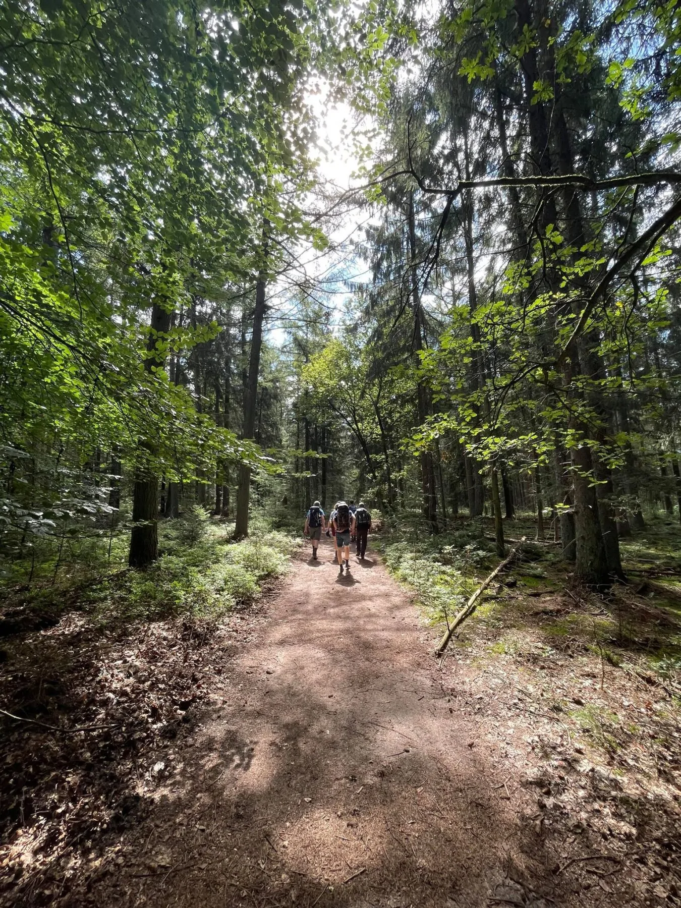 Nationaal Park Hoge Veluwe