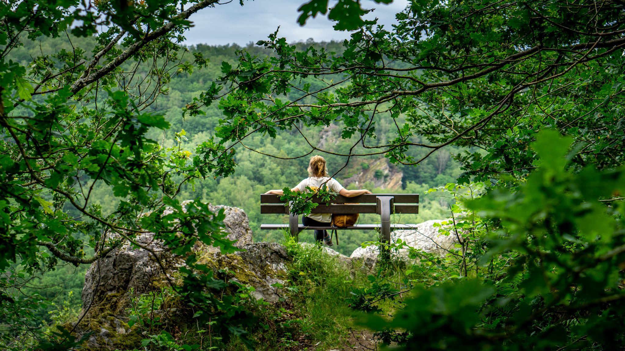 Franse Ardennen