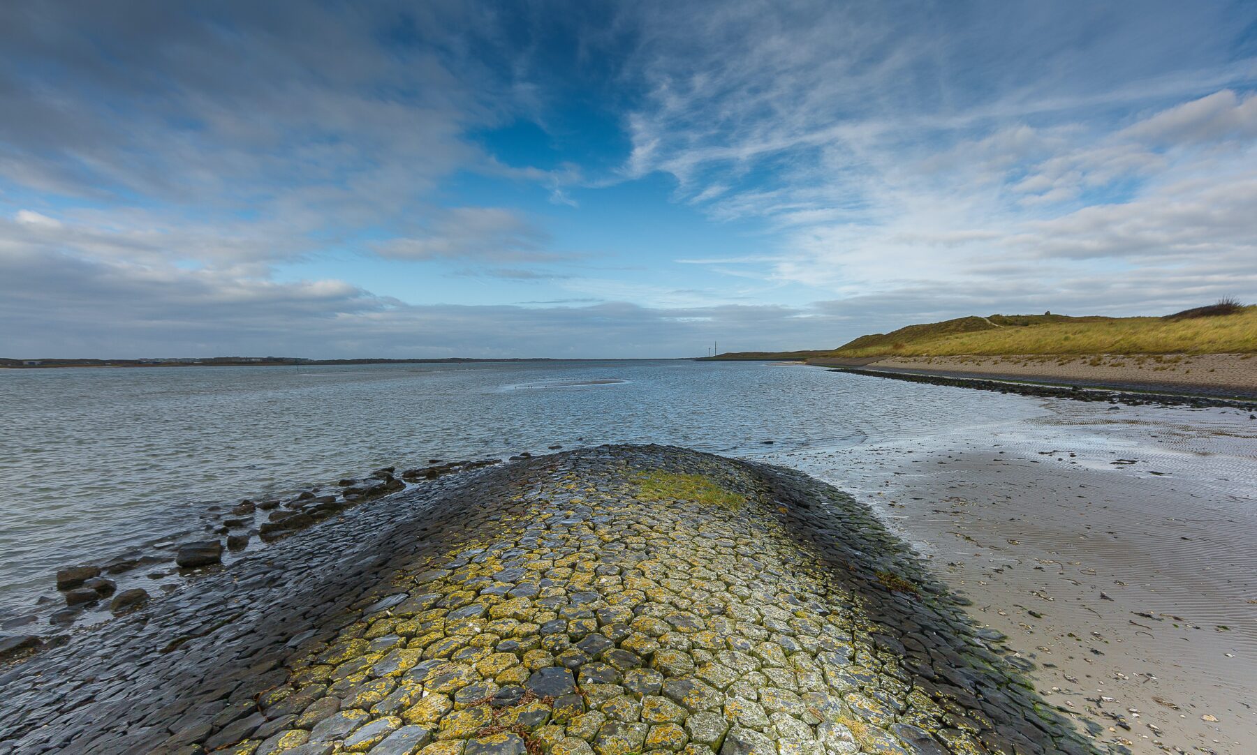 oesters rapen