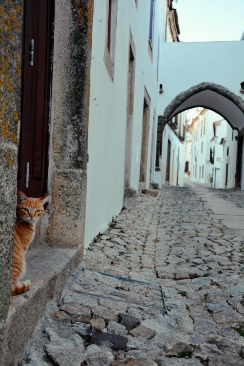 Alentejo kat