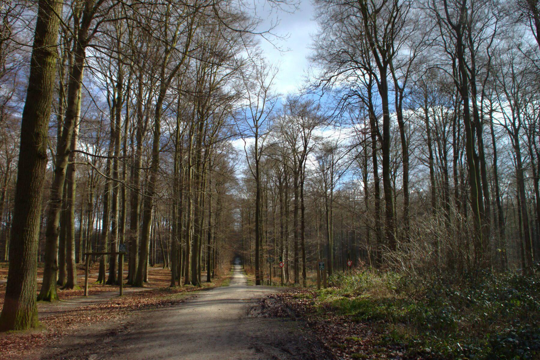 lange afstand wandelen