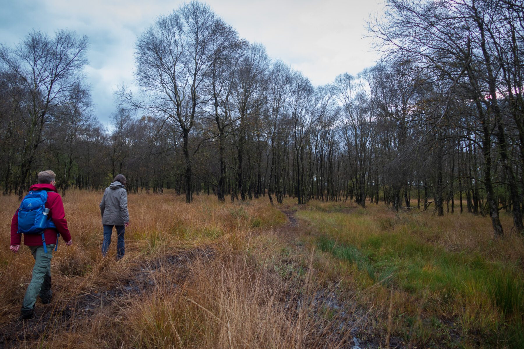 op naar Reinartzhof-De Hoge Venen