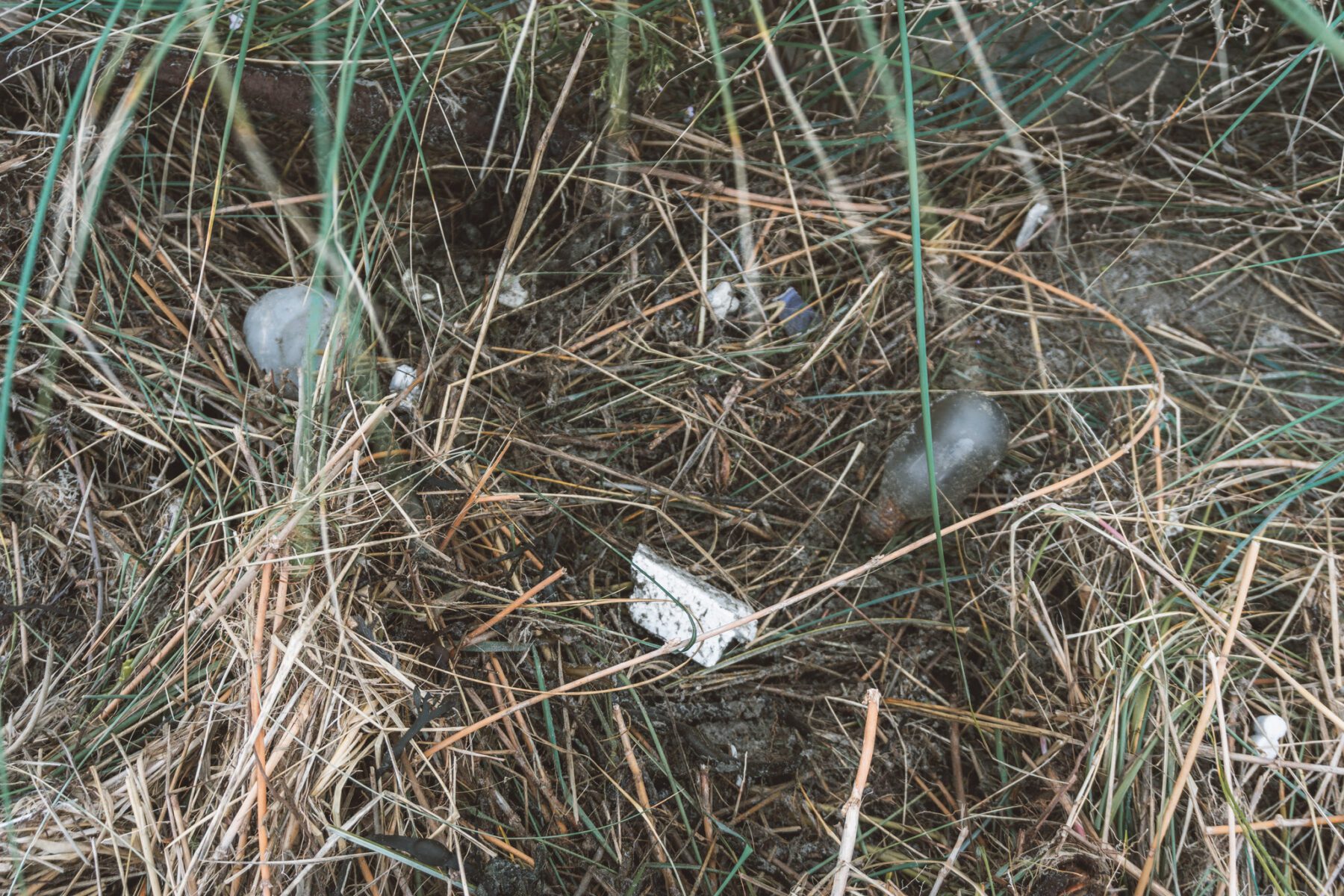 Afval op Terschelling ramp voor trekvogels