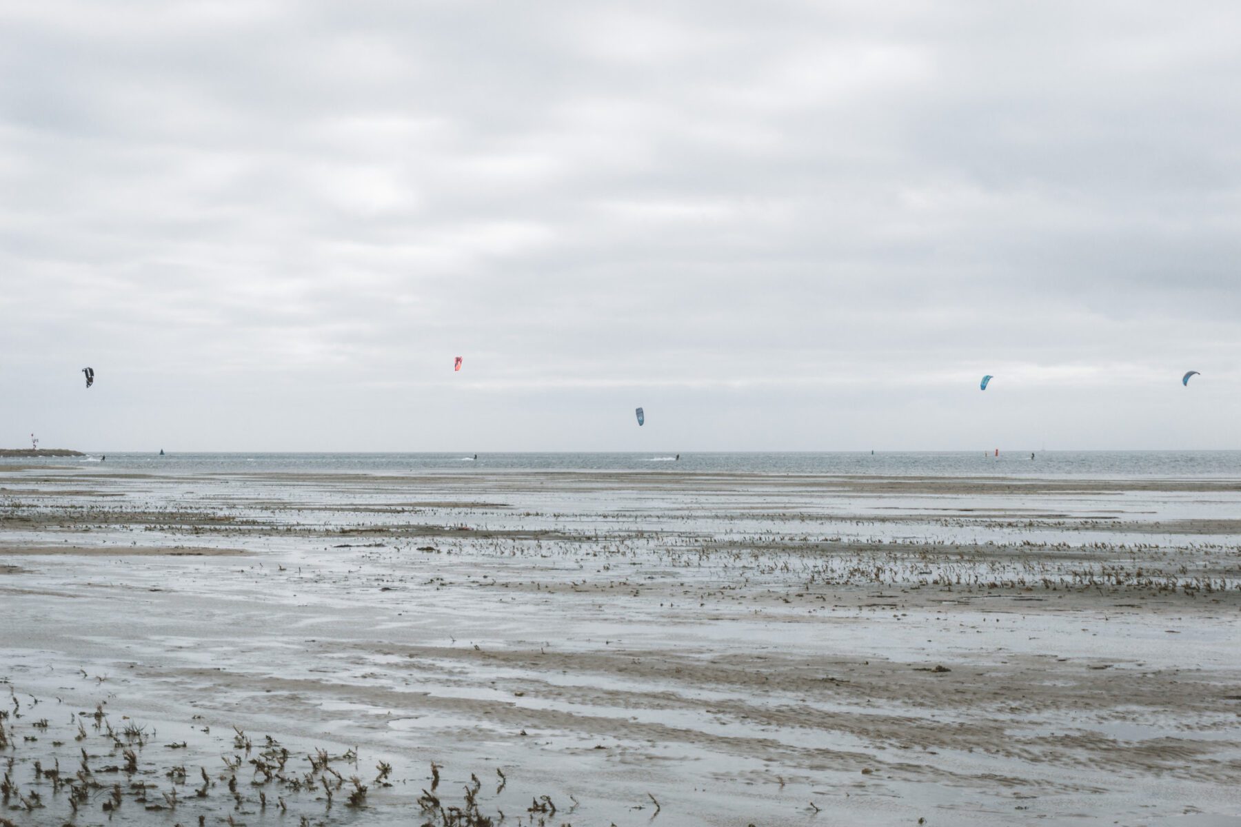 Trekvogels en Kitesurfers op Terschelling