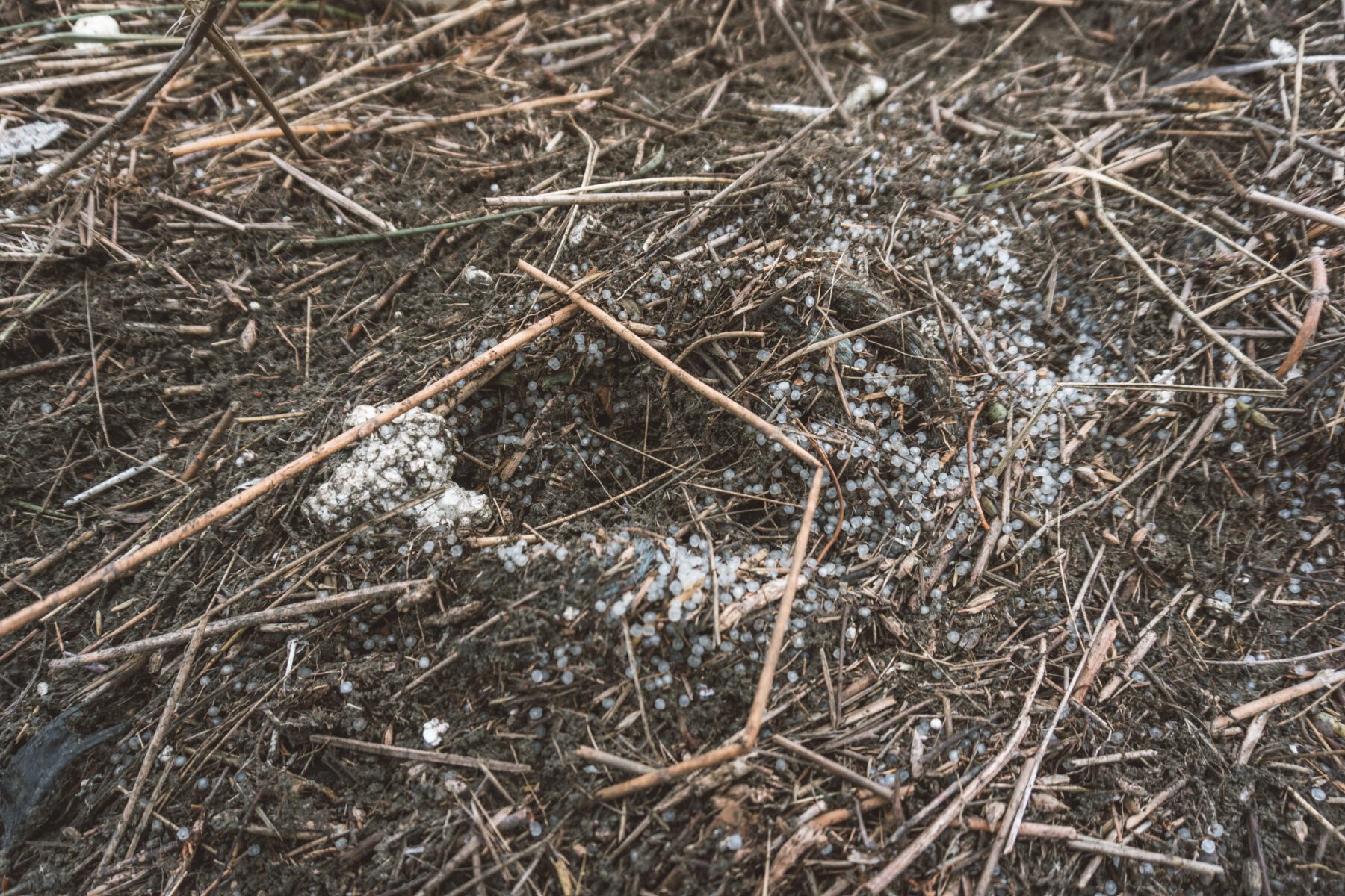 Microplastic op Terschelling