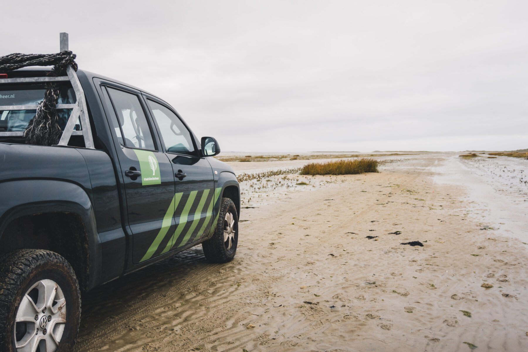 Trekvogels spotten op Terschelling met de boswachter