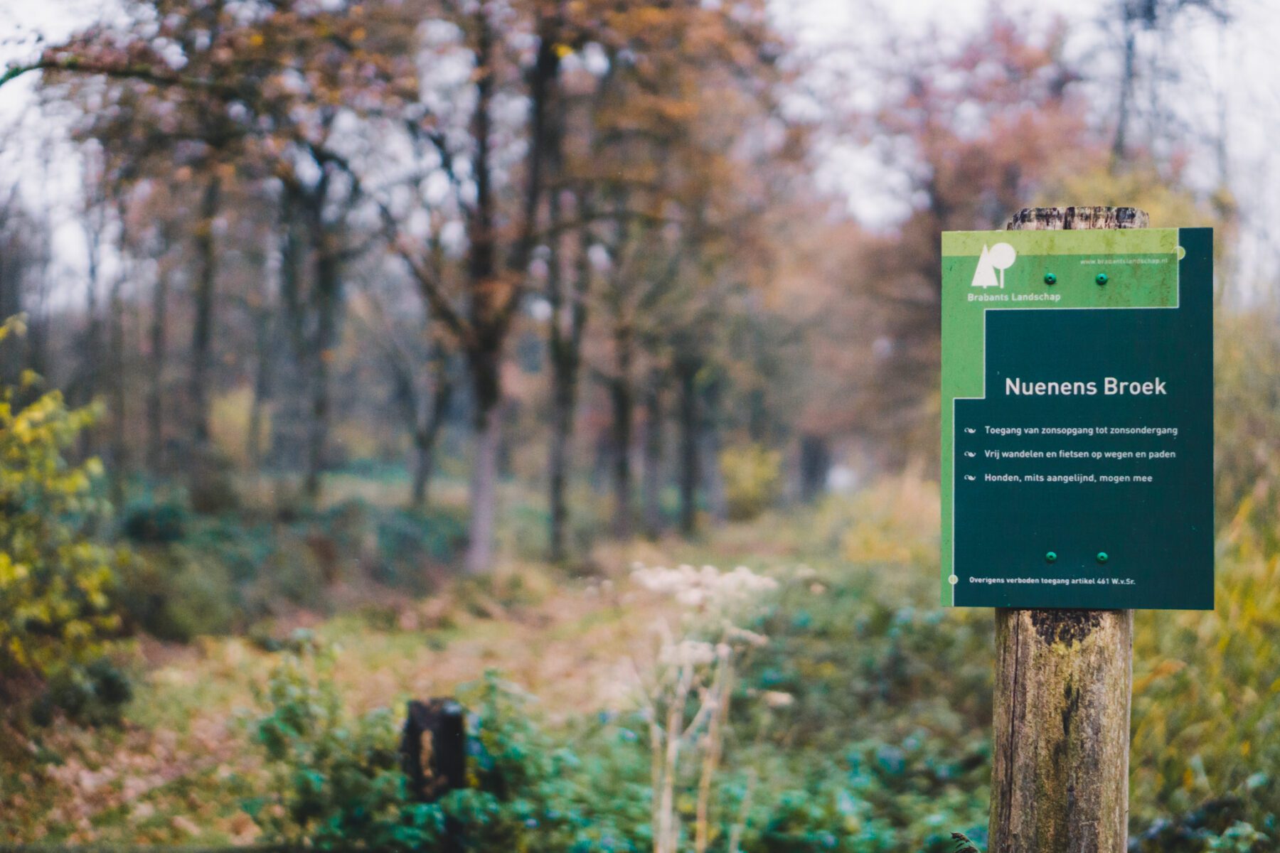 Nuenens Broek-Van Gogh wandeling Nuenen