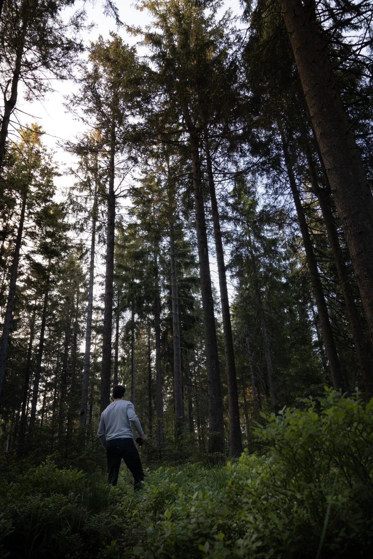 lange afstand wandelen