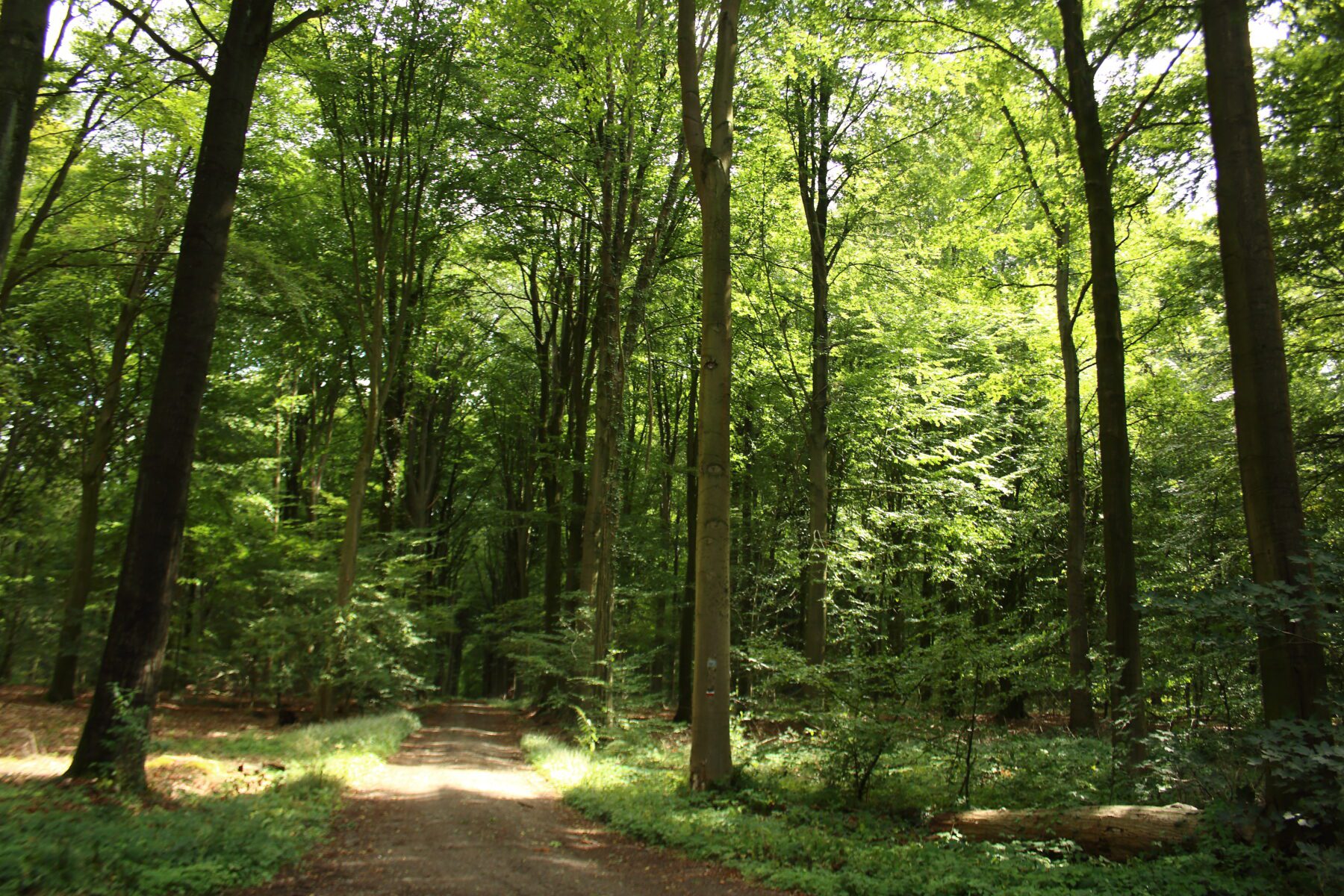 Wandelroute van het Jaar 