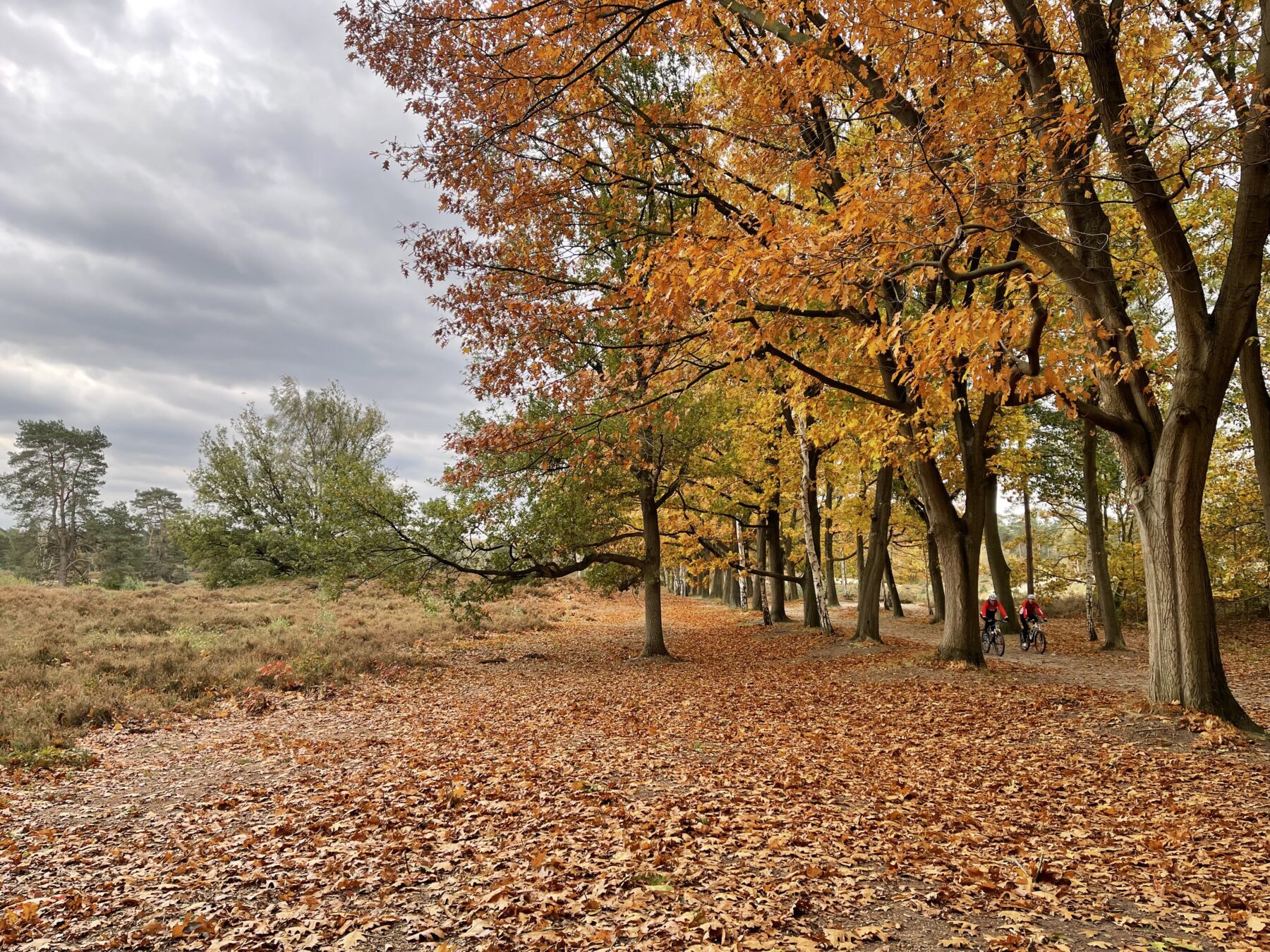 wandelen bergen op zoom