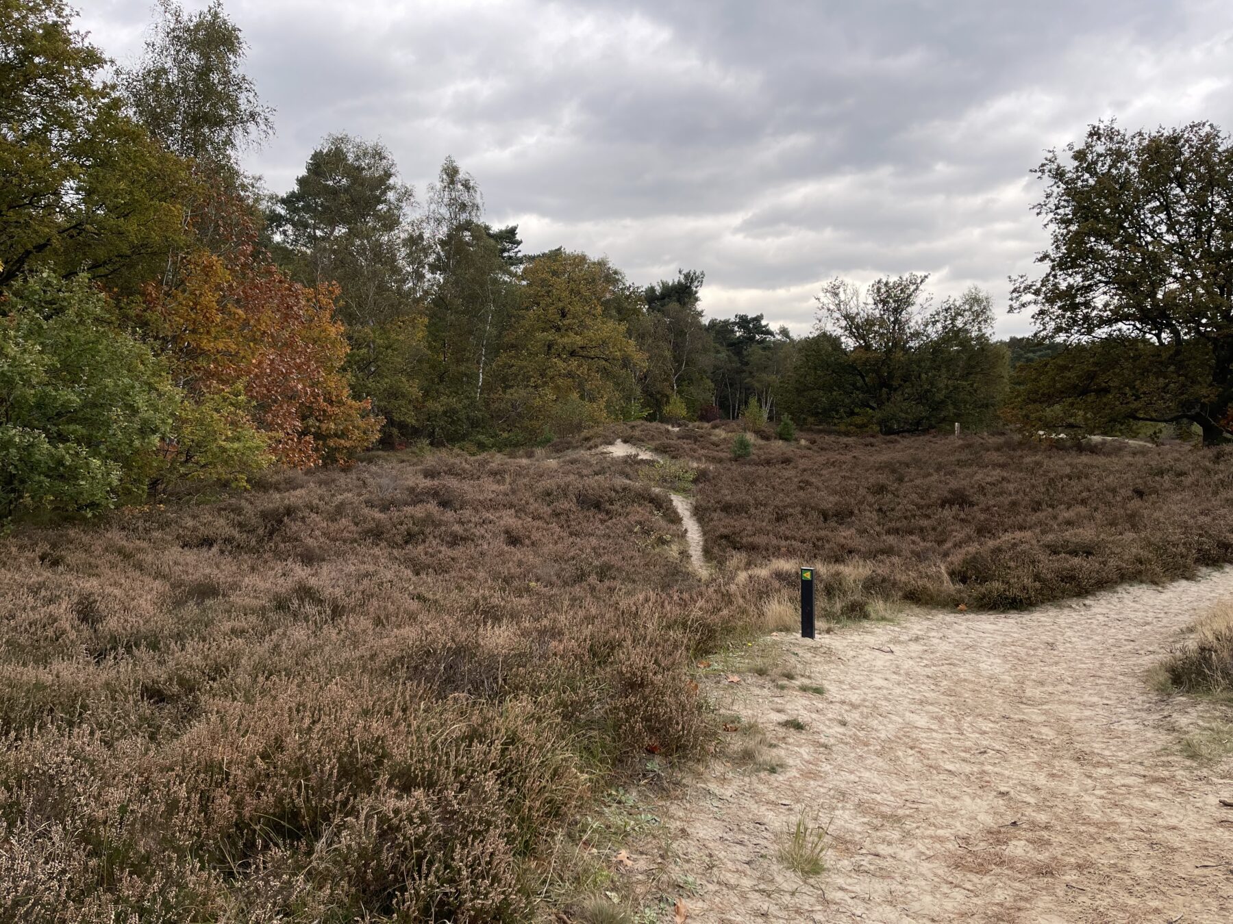 wandelen in bergen op zoom