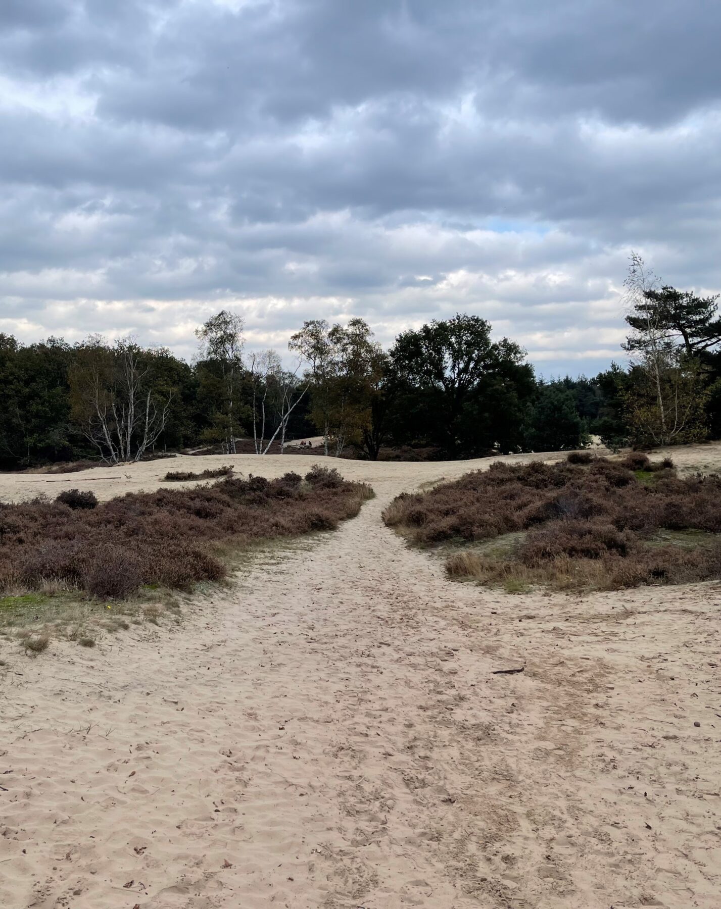 wandelen in bergen op zoom